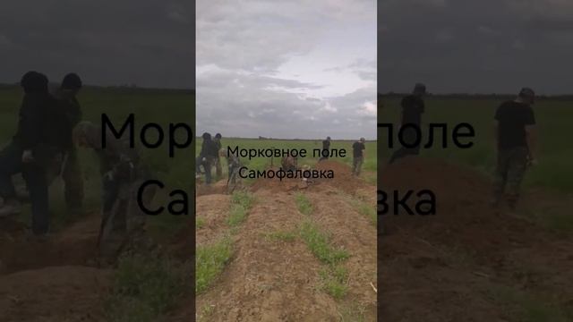 Волгоград 2023 Вахта памяти