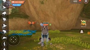 Всем привет, я новая вилдтуберша на рутубе!