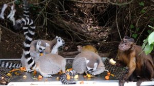 3765254-uhd_3840_2160_30fps