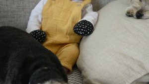 7279145-uhd_3840_2160_24fps