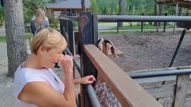 Рязанская сказка в некотором царстве  |   A fairy tale for children in Ryazan