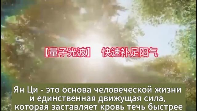Квантовый световой прибор - презентация.