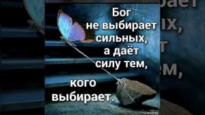 Слава Богу за всё🙏🙏🙏