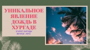 ДОЖДЬ В ХУРГАДЕ, УНИКАЛЬНОЕ ЯВЛЕНИЕ, БЫВАЕТ РАЗ В 10 ЛЕТ