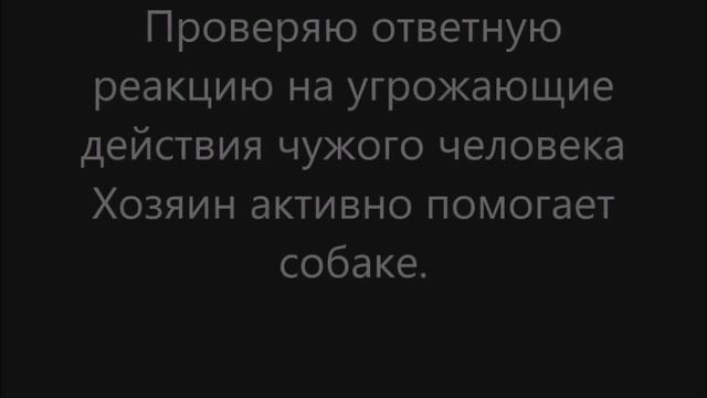Немецкий боксер. Выявляем защитноохранный потенциал. Защита хозяина.