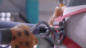 Трейлер. Зверопой 2