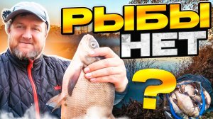 Говорят в Капотне рыбы нет! Рыба то знает об этом?