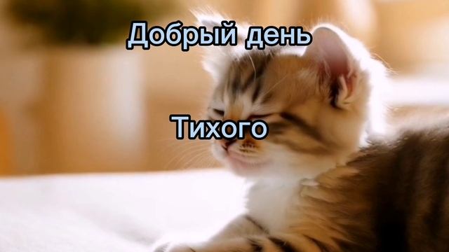 Добрый день