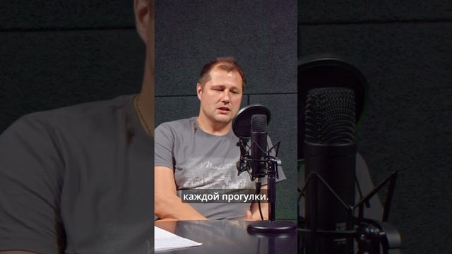 Как чистить уши собакам