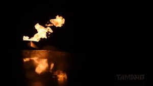 TAMARO "SOS" Theme from Spectacular