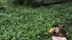 6770945-hd_1920_1080_24fps