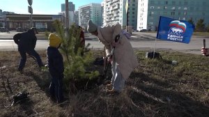 В Кировском районе Новосибирска появилась новая аллея