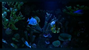 Нисаргадатта Махараджа медитация