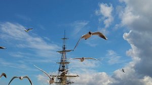 ПЕТРОВСКАЯ ПРИСТАНЬ. Чайки и китайцы