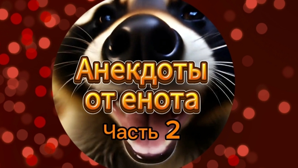 Анекдоты от енота. Часть 2 смотреть онлайн