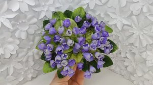Фиалка Н-Аватар