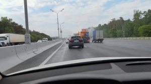 Спасаем колючих младенцев и ... душу свою или КОТоБудни от 2 июня 2024 г.