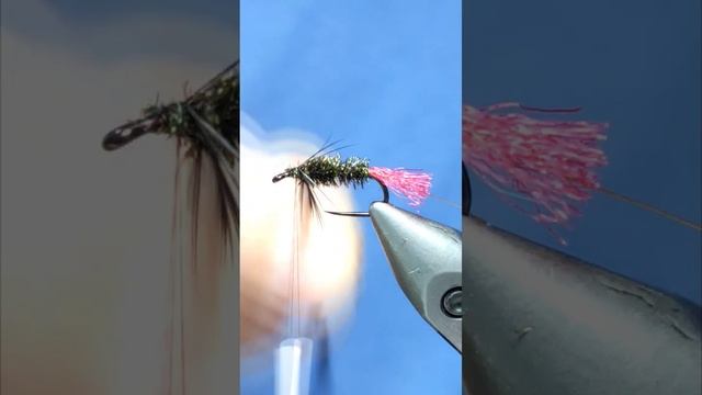 Fly Tying a Black Zulu best wet flies for trout tutorials #shots
