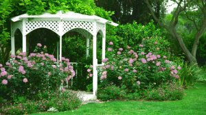 Дизайн сада в романтическом стиле. Интересные идеи.