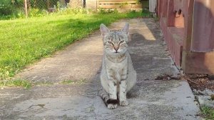 Браслав и озера Браславские, часть 1-я