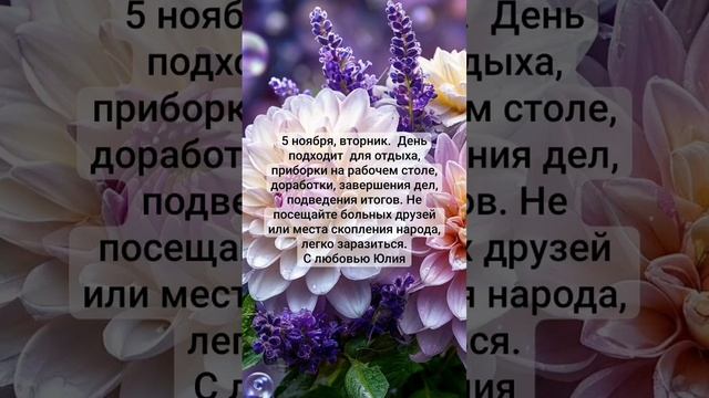 1730786868490.mp4