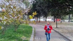 Болонья, Италия, часть 1-ая  |  Bologna, Italy, part 1