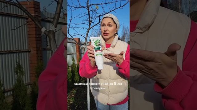 3 варианта защиты деревьев от морозобоин