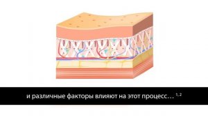 IPSEN_Dysport_HCP_TreatmentExplanation_rus_v05_О_старении (1)