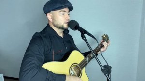 Снегири(трофим)-кавер под гитару