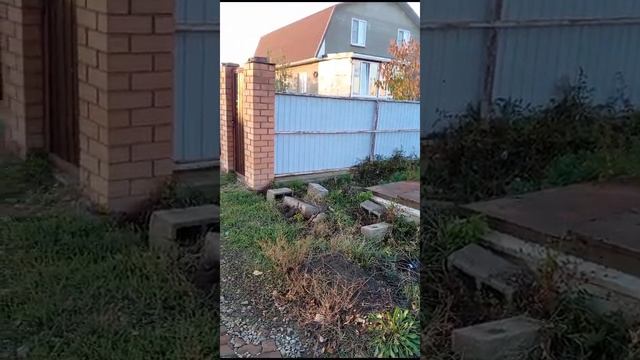 1000189667.mp4
