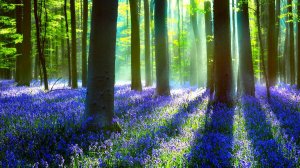 подземный ход