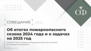 Об итогах пожароопасного сезона 2024 года и о задачах на 2025 год