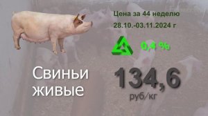 Что сейчас происходит на рынке мясной продукции? Цены за 44 неделю #мясо #аналитика #АПК