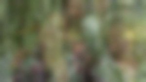 Не печалься - все пройдет.. песня Александра Старостенко, исполняет Сергей Бураков