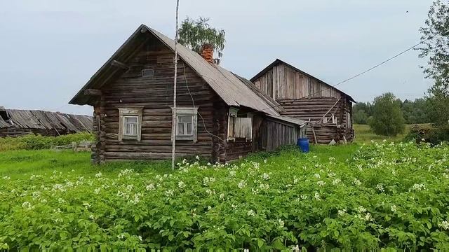 НЕБЕСА  КЕНОЗЕРЬЯ - жемчужина Архангельской области: Авто-путешествие на Русский Север, день 4-ый