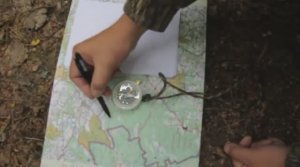 🌏Ориентирование🌏 в лесу☘.