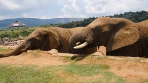 3842818-uhd_3840_2160_30fps