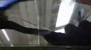 Never Scratch vs Clear Plex