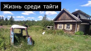 Жизнь среди тайги | АУЖД заброшенный посёлок берёзовка