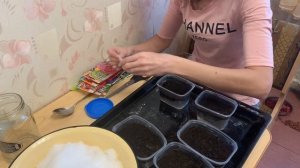 Посев петуний на рассаду/Быстрые всходы петунии как и когда сеять/Рассадный сезон 2022 года