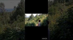 На Белом Озере и на Синюхе