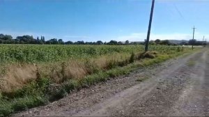 Продажа участков с. Киевское от 400 тыс. назначение ЛПХ