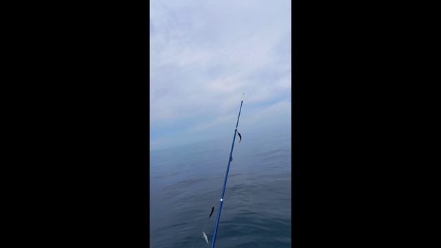 Отмечаем день рождения на рыбалке