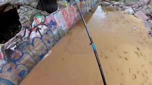 Попробовал половить рыбу у "Кукурузы" (Лахта центра)