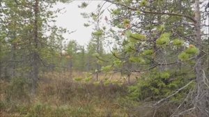 Сохранение-курса-при-движении-по-Компасу.