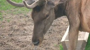 Загородный отель "Волынь" - место, где отдыхает ваша душа! (3 июня 2024г.)