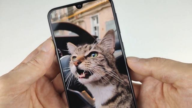 Обзор Samsung Galaxy M21. Знатный долгожитель. смотреть онлайн