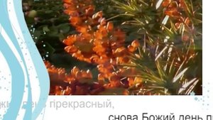 Утром в небе звезды гаснут_
