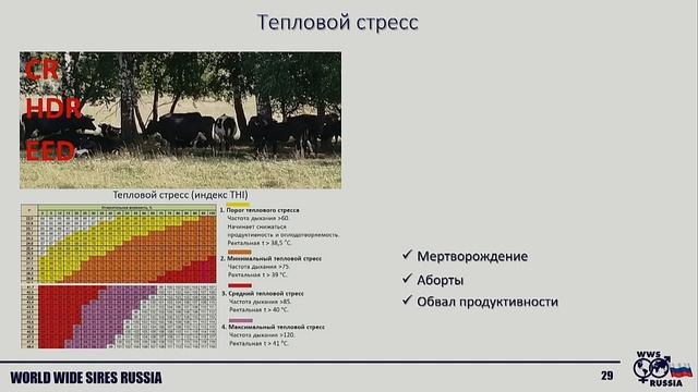 Семинар «Генетика, воспроизводство, управление – концентрат эффективности» на АГРОС 2023