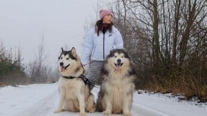 6234316-uhd_3840_2160_24fps